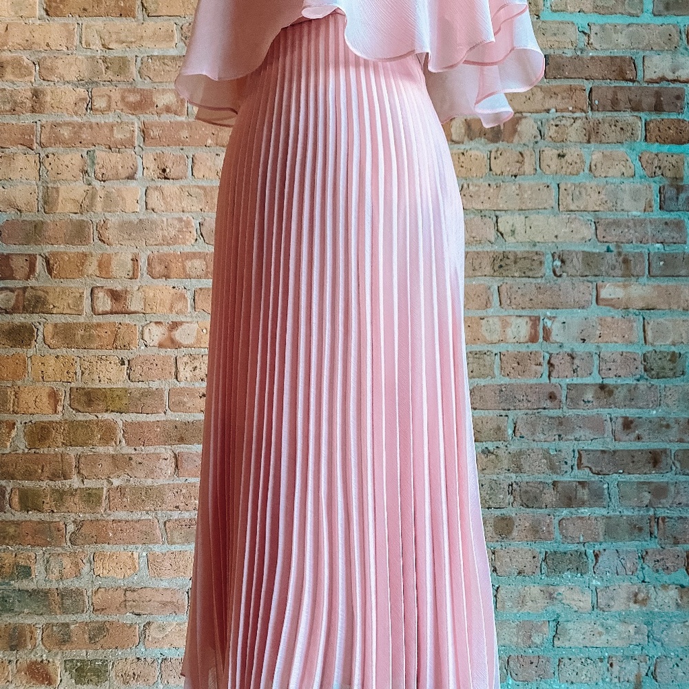 NWT Pink Chiffon Pleated Dress with Flutter Sleeve - Picture 11 of 16